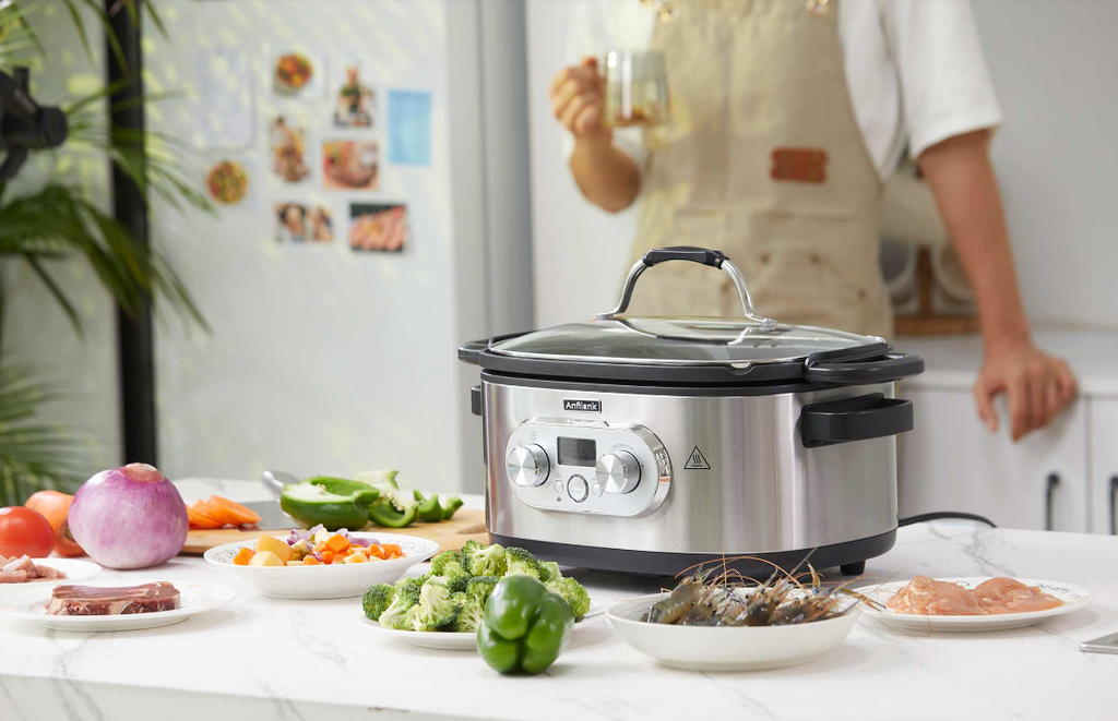 10 In 1 Programmable Electric Multi-Cooker: Meet This One