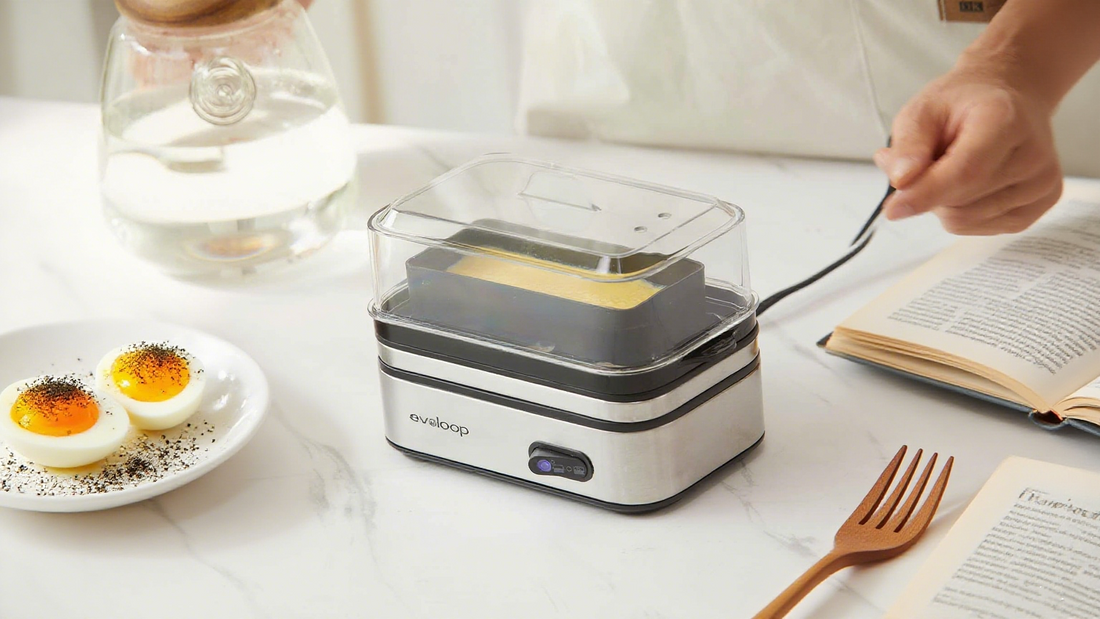 egg cooker & mini steamer