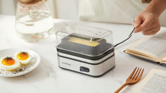 egg cooker & mini steamer