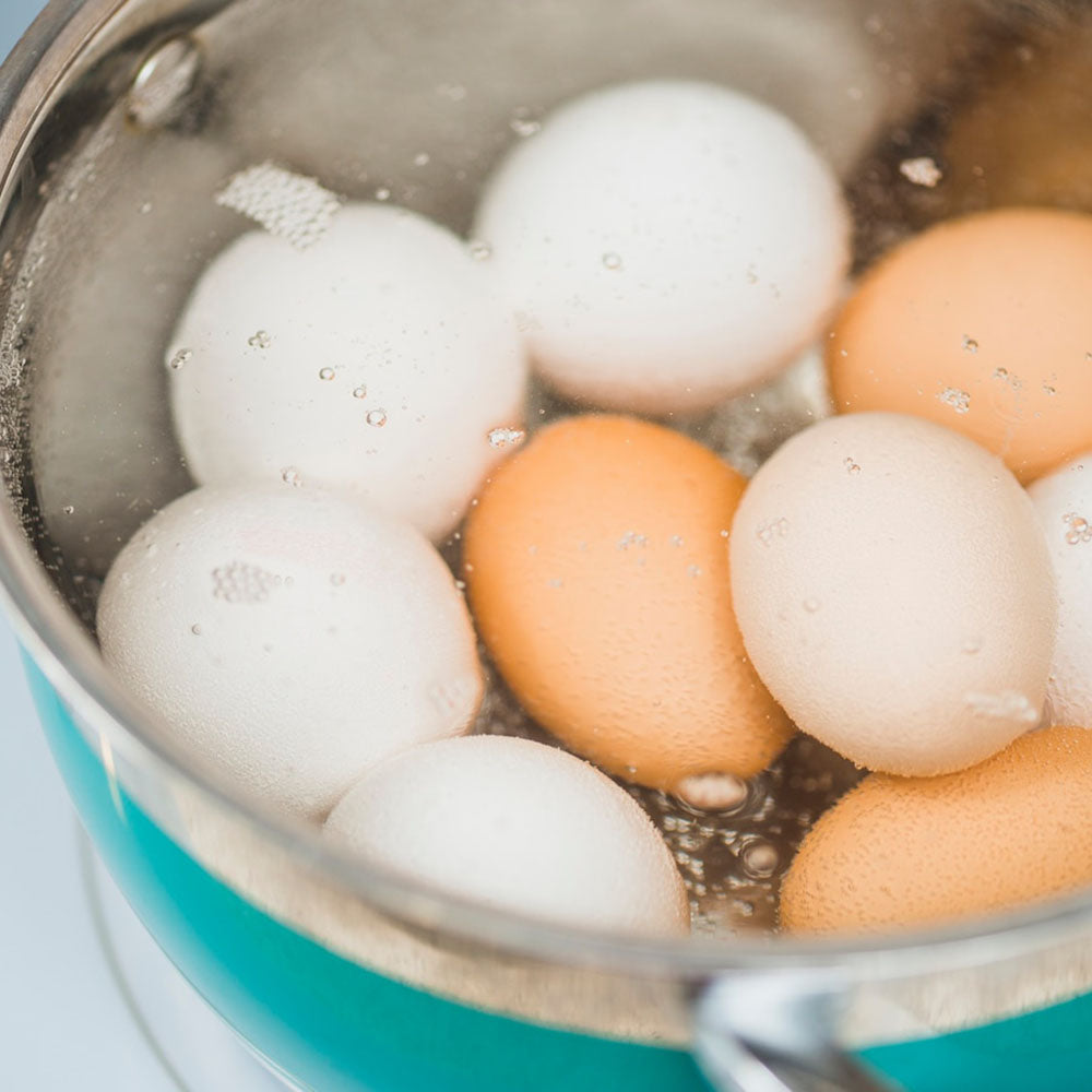 How to Make the Perfect Soft-Boiled Egg with an Elite Gourmet Egg Cooker