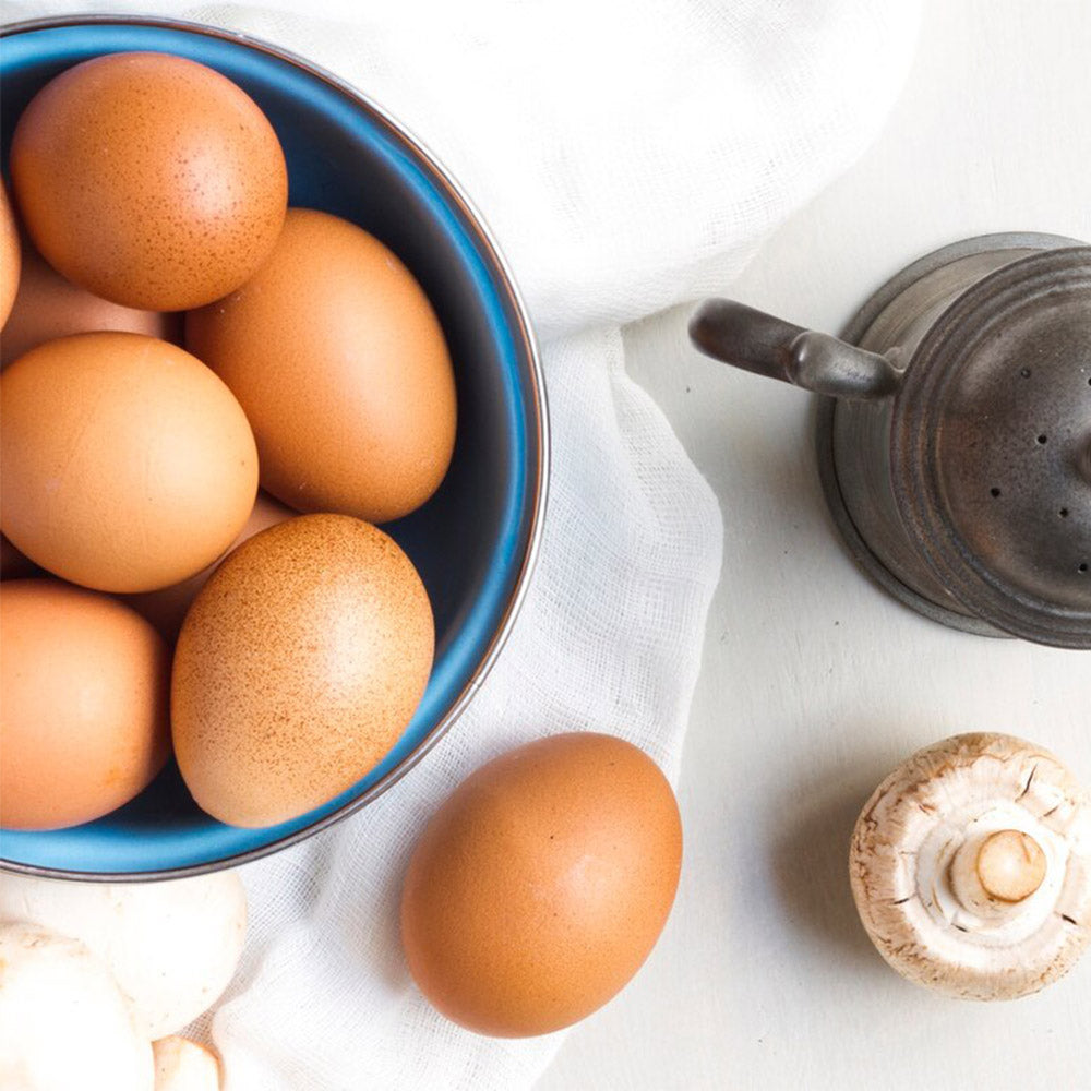 Egg Poacher Cooker: The Easiest Way to Make Perfectly Poached Eggs