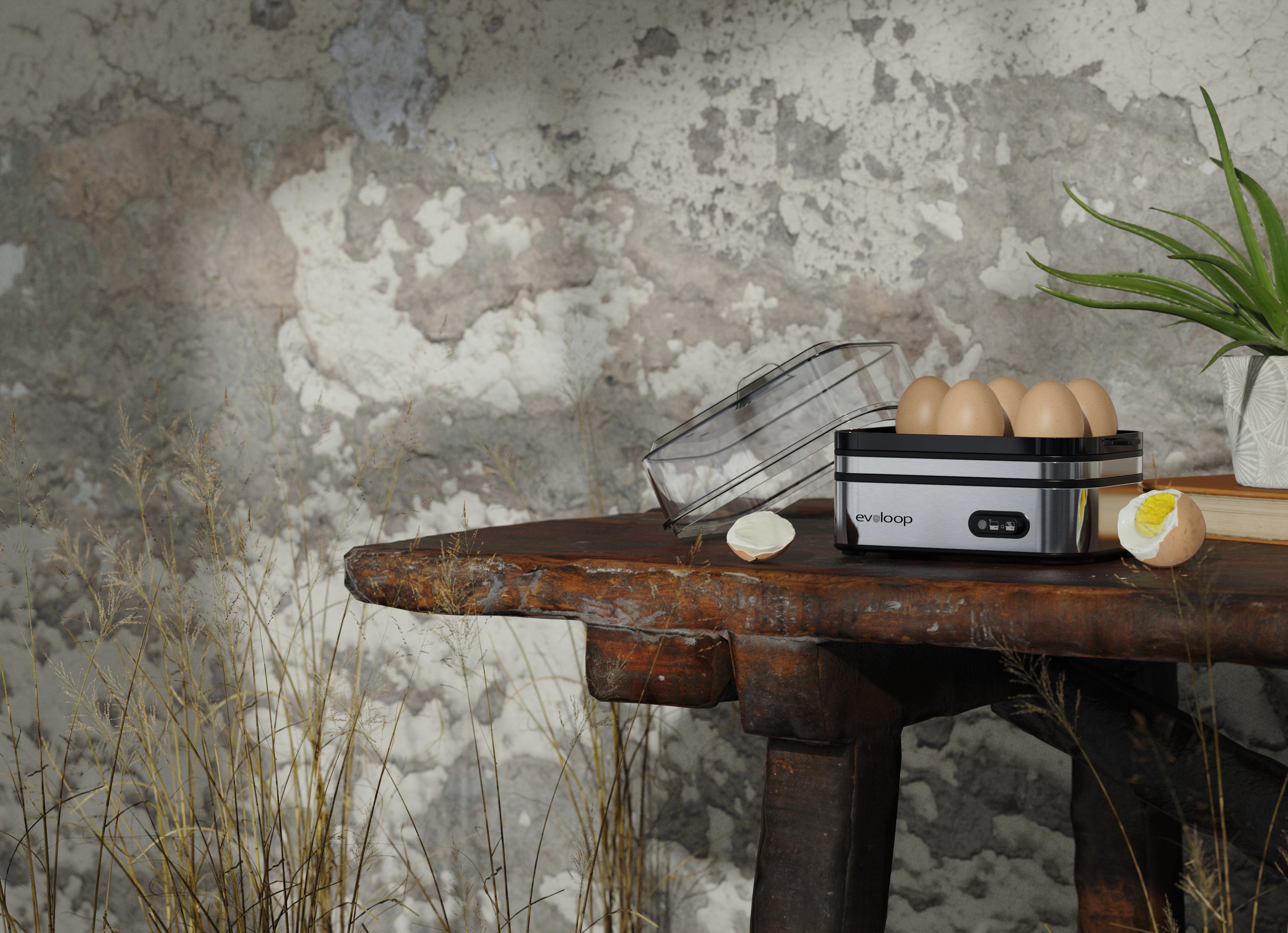 Evoloop Rapid Electric Egg Cooker