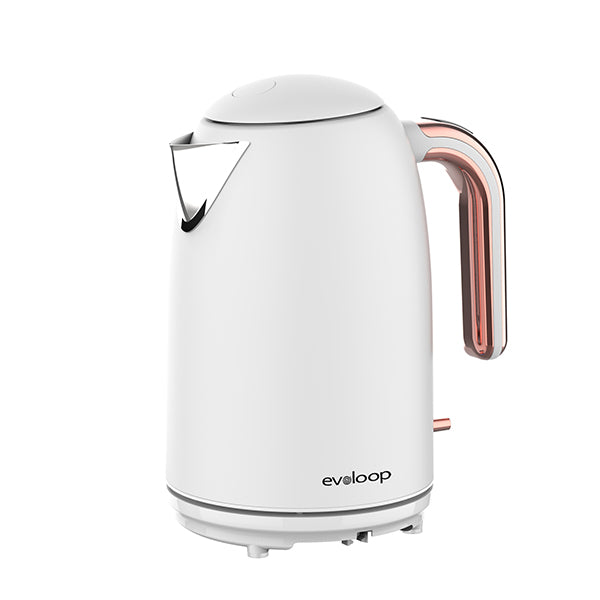 Electric Kettle, Evoloop 100% Stainless Steel Tea Kettle with 1500W Fast Boiling Heater, Classic Design, Cordless, JK-145